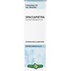 ERBA VITA GROUP SPA Spaccapietra Tintura Idroalcolica 50ml Erbavita