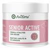 AniForte Senior Active Powder 250 g per Cani Anziani - minerali, aminoacidi e vitamine per Cani, Supporta la Memoria e la Funzione cardiaca, cozza dalle Labbra Verdi per la vitalità e l'agilità