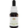 Australian Bush Flower Essences Pink Mulla Mulla 15ml