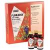 SALUS HAUS GMBH & CO KG Floradix integratore vegetale con ferro e vitamine 10 flaconcini
