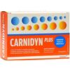 BIOFUTURA PHARMA SpA CARNIDYN PLUS 20 BUSTINE DA 5 G GUSTO ARANCIA