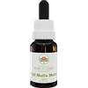 Australian Bush Flower Essences Tall Mulla Mulla 15ml