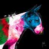 International Graphics - Immagine finita - Patrice, Murciano - ''Bull Pop''- 30 x 30 cm - Stampa diretta su acrilico