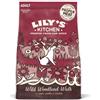 Lily's Kitchen Adult Duck, Salmon & Venison Wild Woodland Walk 12 kg - Croccantini per cani - 1° ORDINE? 20% di sconto SU BRAND ESCLUSIVI, codice BZR20