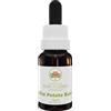 Australian Bush Flower Essences Wild Potato Bush 15ml