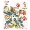 Lanarte Kit Punto Croce Contato CINCE Decorativi Per Pareti ca. 24 x 29 cm Set Fai Da Te Creativo Adulti Ricamo Casa Decor Arte Da Parete Kit Per Hobby Cross Stitch
