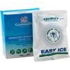 GAMMADIS FARMACEUTICI Srl Easy Ice Ghiaccio Istantaneo GammaDis 2 Pezzi