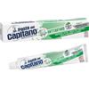 FARMACEUTICI DOTT.CICCARELLI CAPITANO DENT A/TARTARO 100 ML