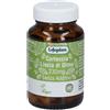 LIFEPLAN PRODUCTS Ltd Lifeplan Corteccia Liscia Di Olmo 50 Capsule - Integratore alimentare