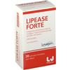 Farmitalia LIPEASE FORTE 20 STICK PACK MONODOSE
