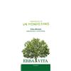 Erba Vita ARGILLA VE SUPER VENTILATA 1 KG