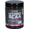 Enervit GYMLINE MUSCLE HYDRO BCAA INSTANT WATERMELON POLVERE 335 G