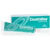 CICATRIDINA UNGUENTO NASALE 15 G