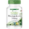 Fairvital | Rhodiola Rosea 500mg - 120 Capsule - Vegan - Integratore alimentare
