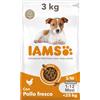 IAMS Cibo secco per cani cuccioli piccola/media con pollo, 3 kg