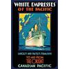 Schatzmix Blechschild Schiff White Empresses of The Pacific Metallschild 20x30 Tin Sign Targa di Metallo da Parete, Lamiera, Multicolore, 20x30 cm