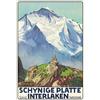 Schatzmix Blechschild Schynige Platte Interlaken Schweiz Metallschild 20x30 Deko Tin Sign Targa di Metallo da Parete, Lamiera, Multicolore, 20x30 cm