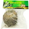 Lucky Reptile DL-RJ Rose of Jericho Pianta Viva