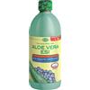 ESI S.P.A. ALOE VERA SUCCO MIRTILLO 1000 ML