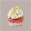 ICEWER Micro Stelline Piccole di Zucchero ideale per Gelato Yogurt Icewer 700 gr