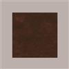 IMBALLAGGI ALIMENTARI 25 Pz Tovaglia TNT Marrone Scuro Monouso 45 gr 100x100