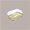 LUCGEL SRL 50 Pz Coperchio per Vassoio Porta Paste Kadò nr 6 Alcas 345x255H50mm