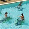 OKEO Water Trekking Okeo - Tapis roulant per piscina