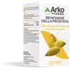 Arkopharma Arkocapsule - Olio Semi Zucca Integratore, 60 Capsule