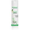 Dermoscent essential 6 sebo shampoo cane e gatto