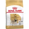Royal Canin Pug Carlino Adult 1,5 kg per Cani