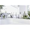 Spirella Desk Accessory Max-Porcelain White 1260188, Portaspazzolino Bianco, Standard