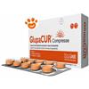 Innovet Dog e Cat Glupacur Compresse - Confezione da 30 Compresse