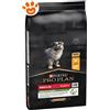 Purina Dog Pro Plan Puppy Medium Pollo - Sacco da 12 kg