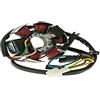 101_Octane Statore Alternatore 80W Per Derbi Senda, Aprilia Rx, Sx, Gilera Rcr, Smt
