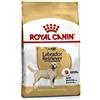 ROYAL CANIN CANE LABRADOR RETRIEVER ADULT 3 KG termine minimo di conservazione 23/12/2024