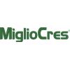 F&F MIGLIOCRES Capelli Pre Shampoo 200 ML
