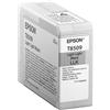 Epson Originale C13T850900 Epson nero light light