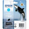 Epson Originale C13T76024010 Epson ciano