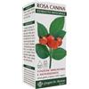 DR.GIORGINI SER-VIS SRL ROSA CANINA ESTR INTEGR 200ML