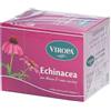 VIROPA ECHINACEA 15 BUSTINE