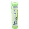 Boiron Thuya Occidentalis Granuli Omeopatici Multidose 5Ch, 4g
