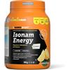 Named ISONAM ENERGY LEMON POLVERE 480 G