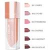 BioNike Defence Color Liplaque Rossetto Volumizzante 603 Framboise