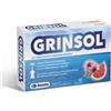 BIOTRADING SRL GRINSOL 15FX5ML