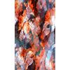 Homemania EXFAB5-60X100CM Tappeto Stampato Danseur 1 Per Salotto, Sala, Camera Da Letto, Cameretta Stampa, Moderno, Multicolore, in Poliestere, Cotone, 60x100 cm
