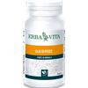 Erba Vita OLIO PESCE 50 PERLE