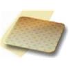 COLOPLAST SpA BIATAIN Med.10x10cm 10pz 3410