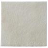 Biatain MEDICAZIONE BIATAIN ALGINATE IN ALGINATO E CARBOSSIMETILCELLULOSA 10X10 CM 10 PEZZI