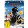 Plaion Pictures Mein Freund Shadow - Abenteuer auf der Pferdeinsel