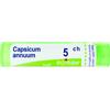 BOIRON Srl Capsicum Annuum 5CH Boiron Granuli 4g